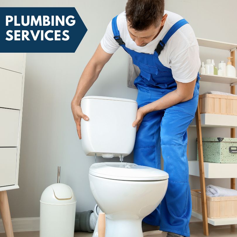Plumbing Company in Fenton, IA
